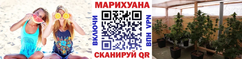 Виды наркотиков купить Губкин ОМГ ОМГ ссылка  КОКАИН  Alpha-PVP  Гашиш  Каннабис  LSD-25 