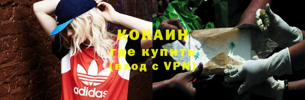 шишки Бронницы