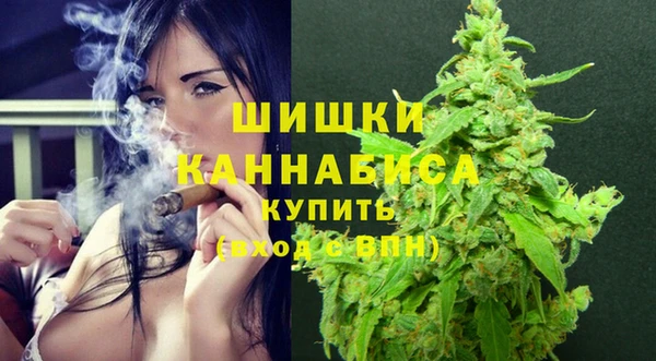 PSILOCYBIN Бугульма