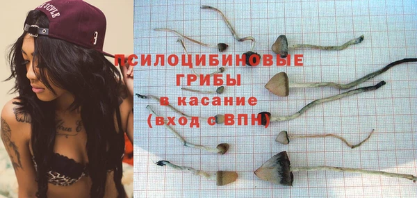 шишки Бронницы