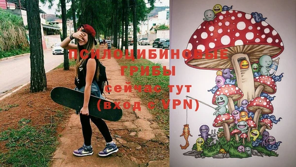 PSILOCYBIN Бугульма