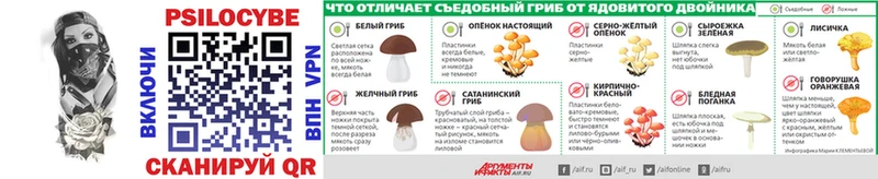 купить   Губкин  Галлюциногенные грибы ЛСД 